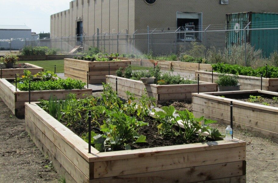 Interfaith Learning Garden