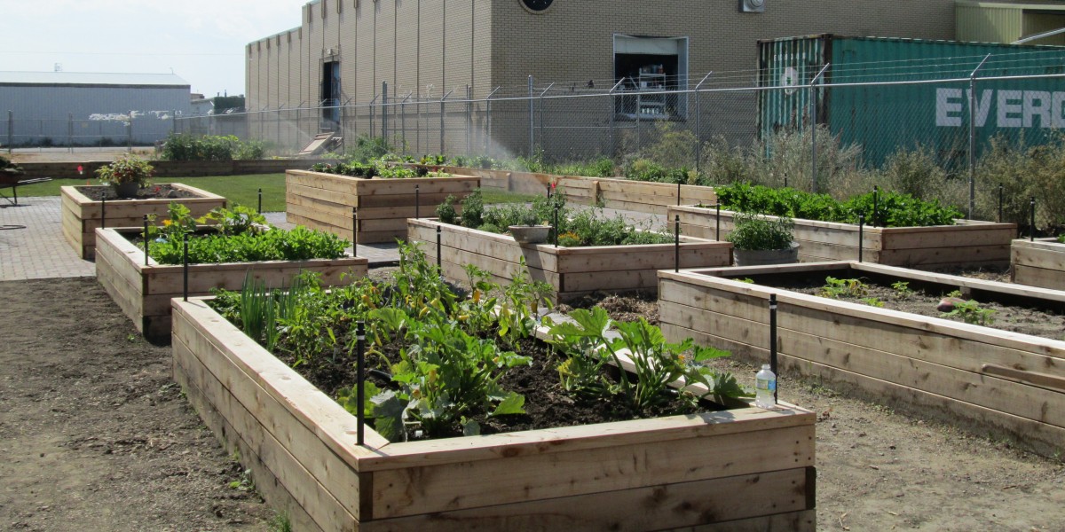 Interfaith Learning Garden